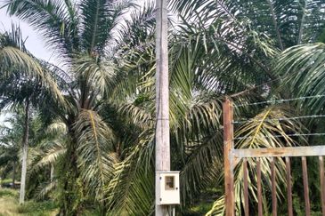 Batang Berjuntai @ Bestari Jaya