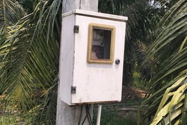 Batang Berjuntai @ Bestari Jaya