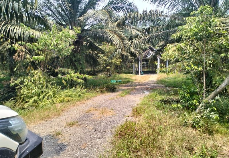 Batang Berjuntai @ Bestari Jaya