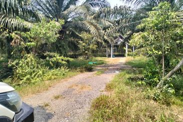 Batang Berjuntai @ Bestari Jaya