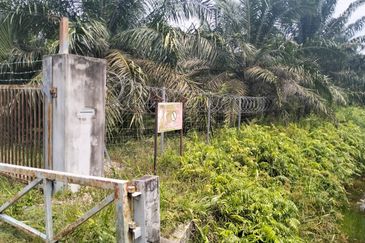 Batang Berjuntai @ Bestari Jaya