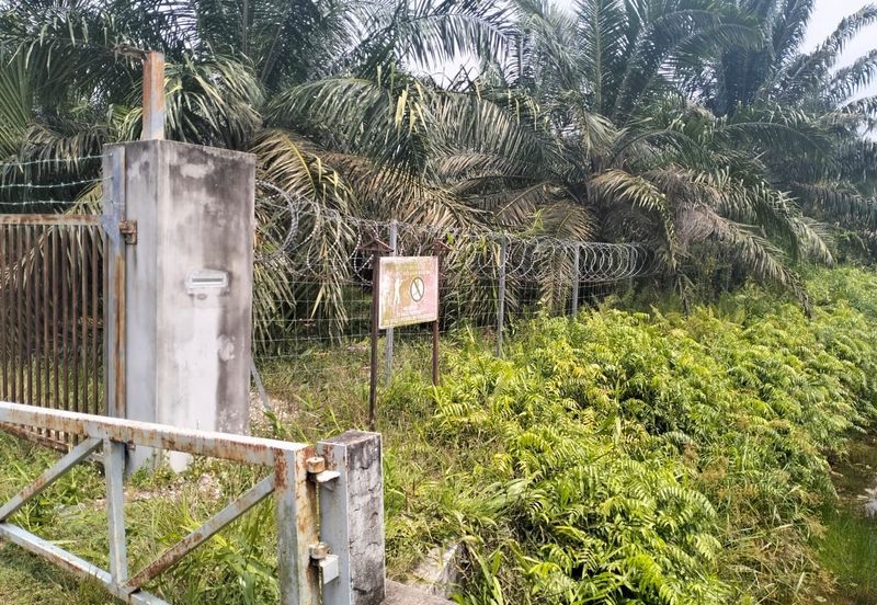 Batang Berjuntai @ Bestari Jaya