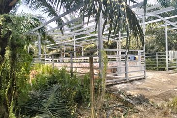 Batang Berjuntai @ Bestari Jaya