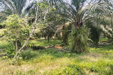 Batang Berjuntai @ Bestari Jaya