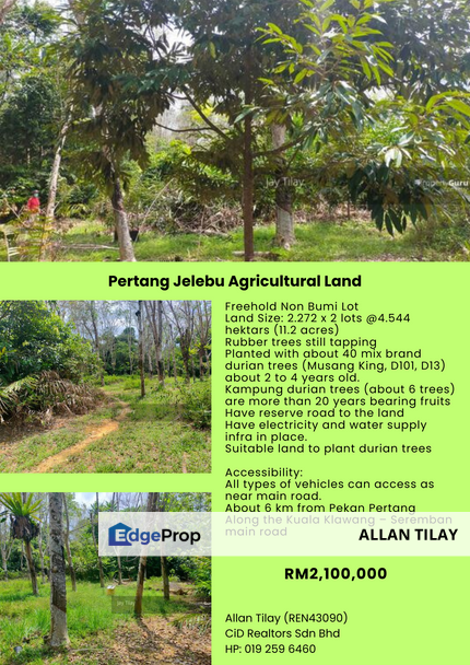 Pertang Jelebu Agricultural Land, Negeri Sembilan, Jelebu
