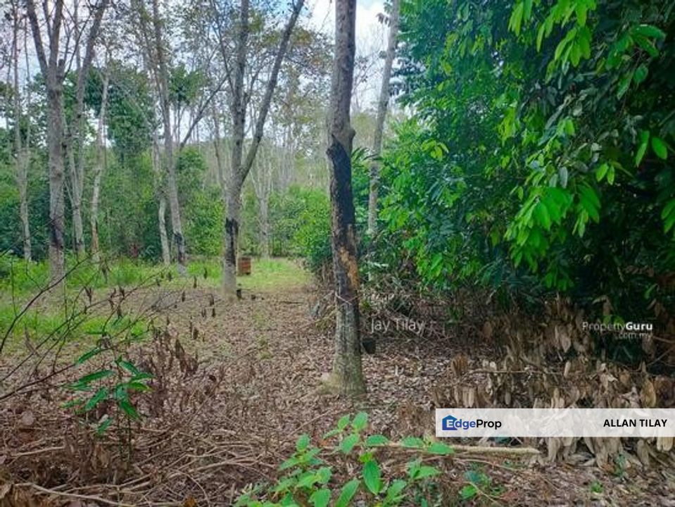 Pertang Jelebu Agricultural Land, Negeri Sembilan, Jelebu
