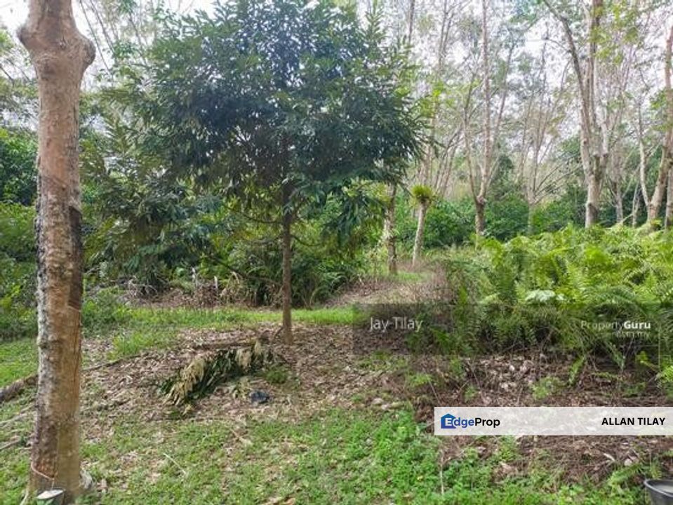 Pertang Jelebu Agricultural Land, Negeri Sembilan, Jelebu