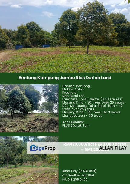 Bentong Kampung Jambu Rias Durian Land, Pahang, Bentong