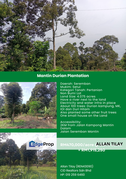 Mantin Durian Plantation, Negeri Sembilan, Seremban