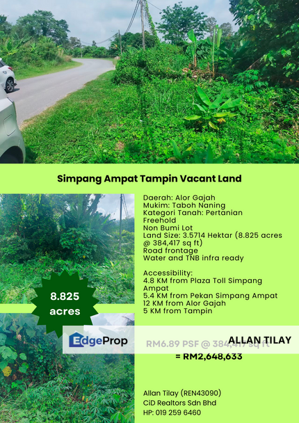 Simpang Ampat Tampin Vacant Land, Negeri Sembilan, Tampin
