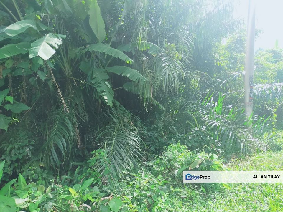 Simpang Ampat Tampin Vacant Land, Negeri Sembilan, Tampin