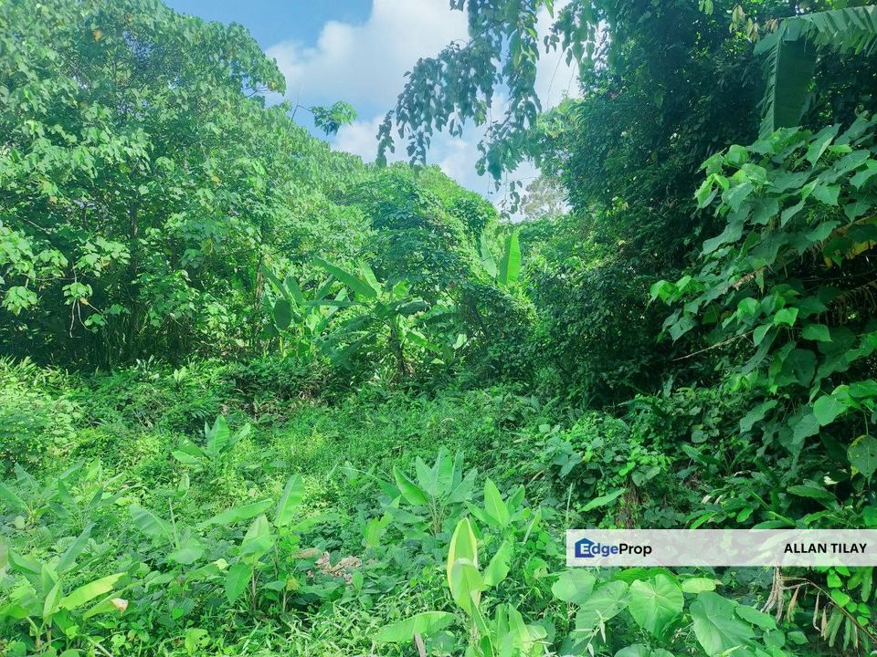 Simpang Ampat Tampin Vacant Land, Negeri Sembilan, Tampin