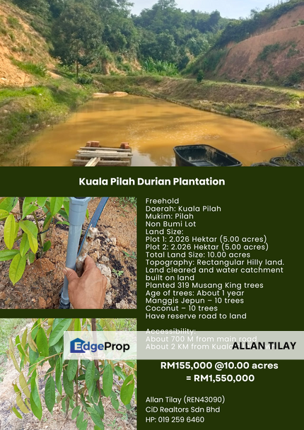 Kuala Pilah Durian Plantation, Negeri Sembilan, Kuala Pilah