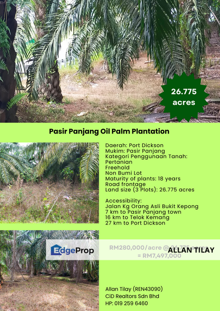 Pasir Panjang Oil Palm Plantation , Negeri Sembilan, Port Dickson