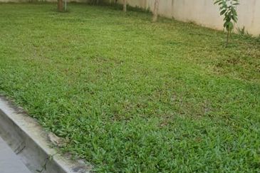 Bandar Seri Coalfields