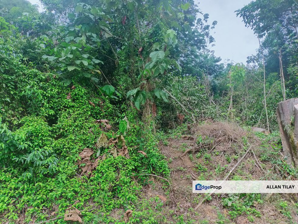 Pedas Rubber Land, Negeri Sembilan, Rembau