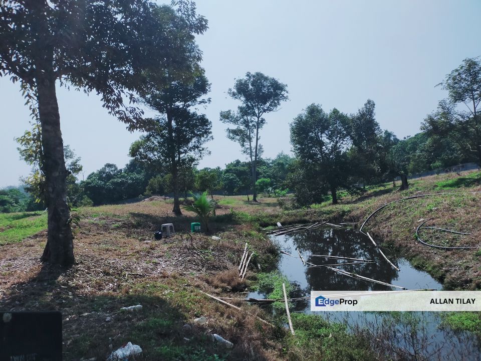 Karak Kampung Chinta Manis Durian Land, Pahang, Karak