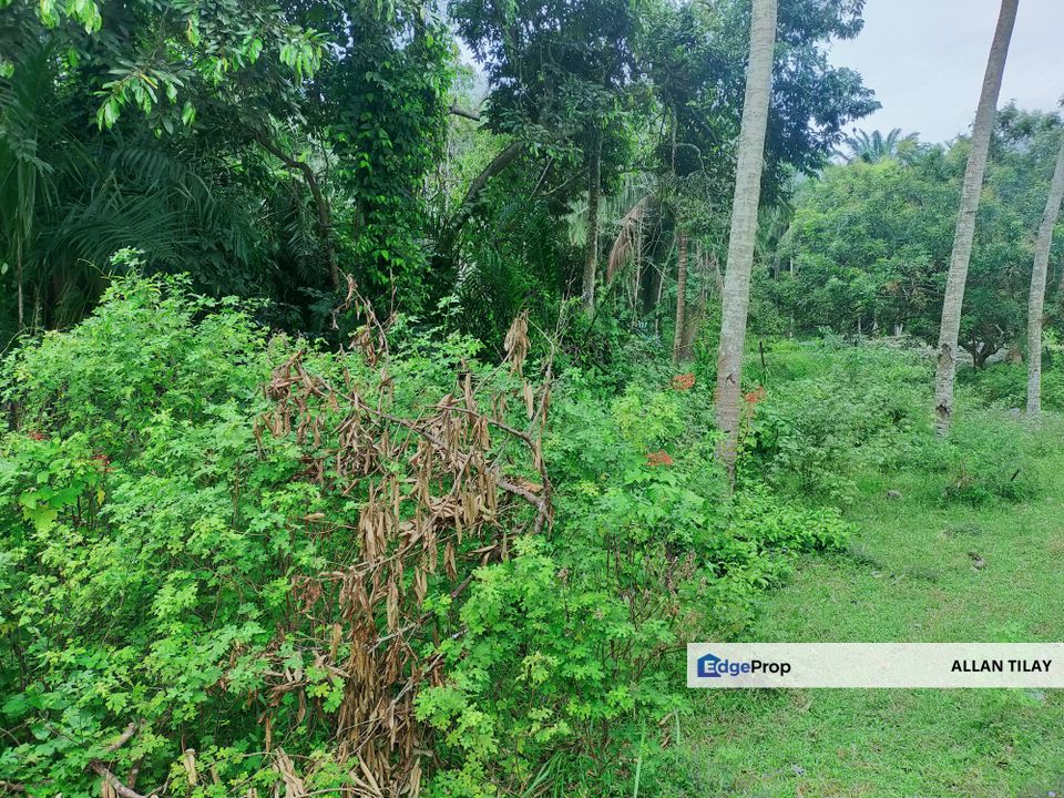 Bahau Vacant Agricultural Land, Negeri Sembilan, Jempol