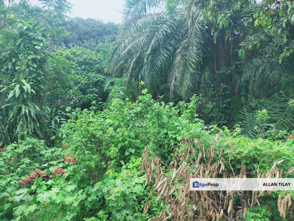 Bahau Vacant Agricultural Land, Negeri Sembilan, Jempol