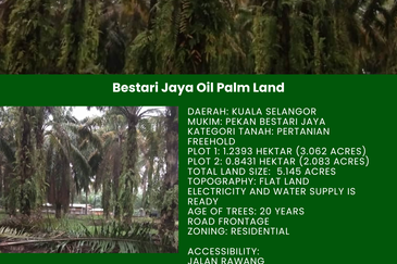 Batang Berjuntai @ Bestari Jaya