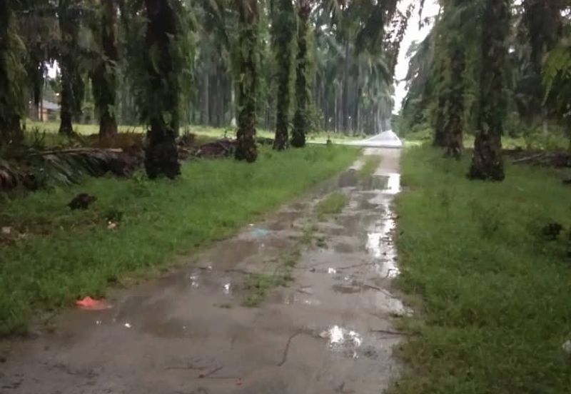 Batang Berjuntai @ Bestari Jaya