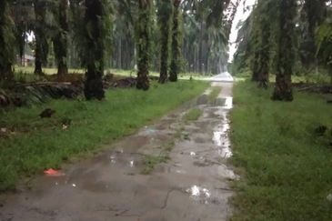 Batang Berjuntai @ Bestari Jaya