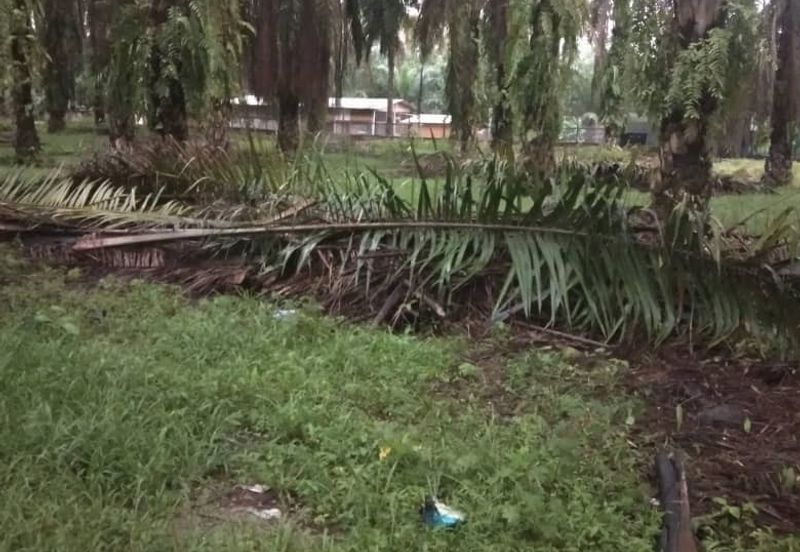 Batang Berjuntai @ Bestari Jaya