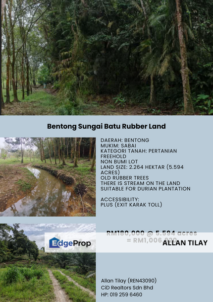 Bentong Sungai Batu Rubber Land, Pahang, Bentong