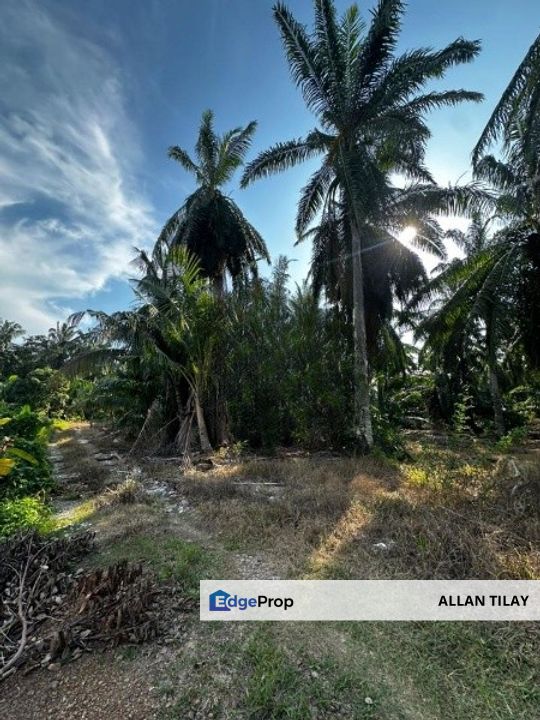 Sungai Pelek Sepang Industrial Zoning Land, Selangor, Sepang