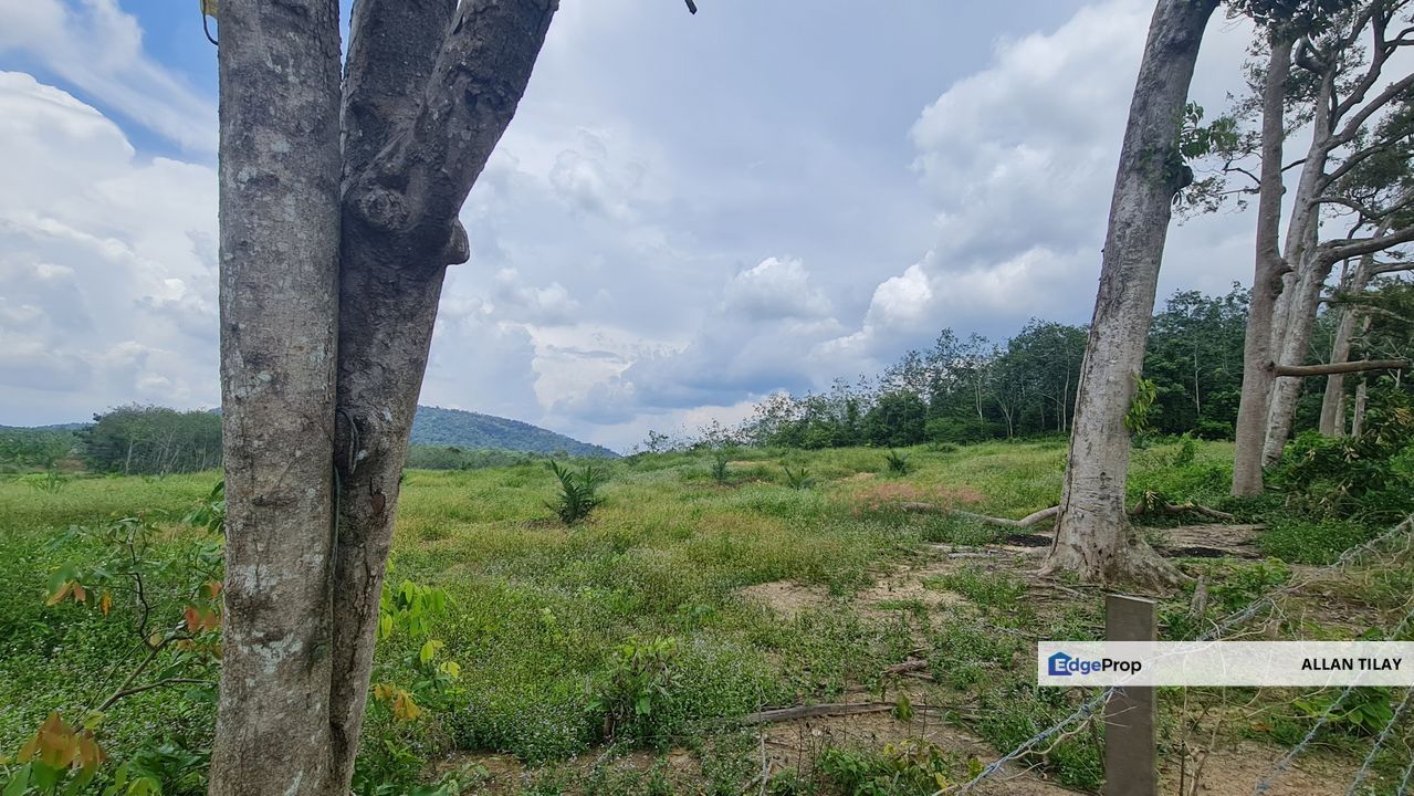 Jasin Selandar Vacant Land, Melaka, Jasin