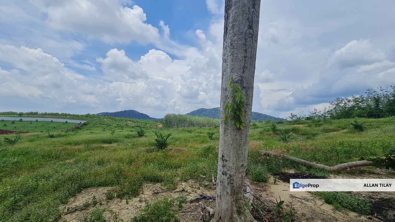 Jasin Selandar Vacant Land, Melaka, Jasin