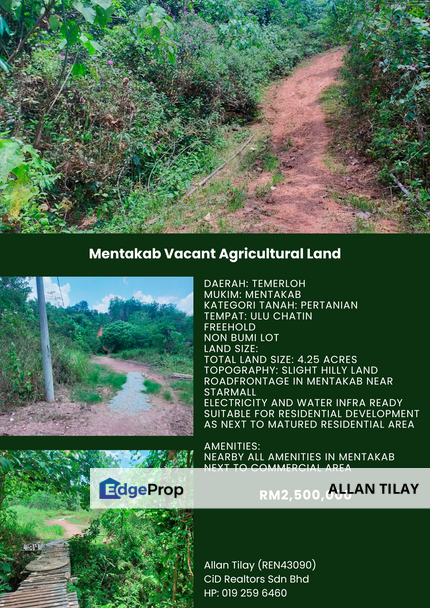 Mentakab Vacant Agricultural Land, Pahang, Temerloh