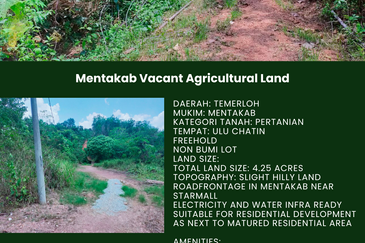 Mentakab Agricultural Land