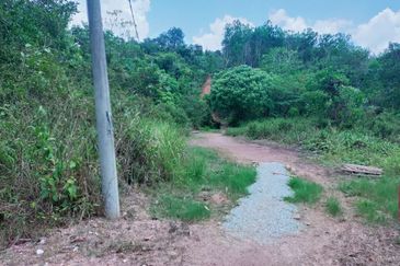 Mentakab Agricultural Land