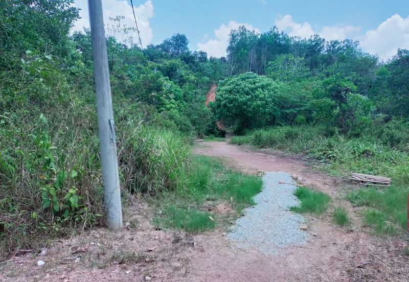 Mentakab Agricultural Land