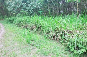 Mentakab Agricultural Land