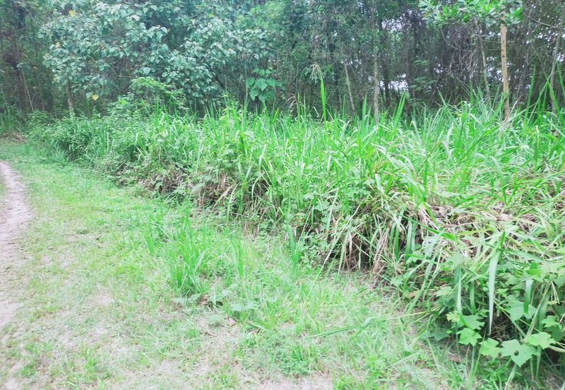 Mentakab Agricultural Land