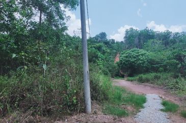 Mentakab Agricultural Land
