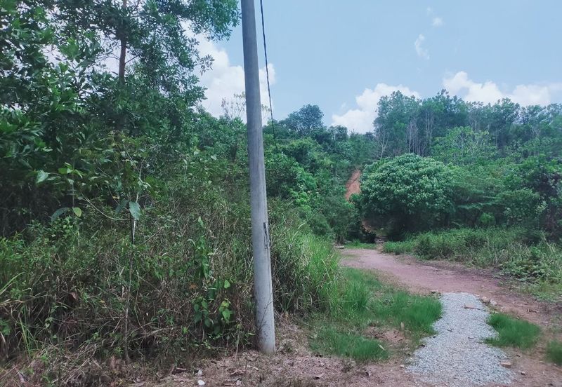 Mentakab Agricultural Land