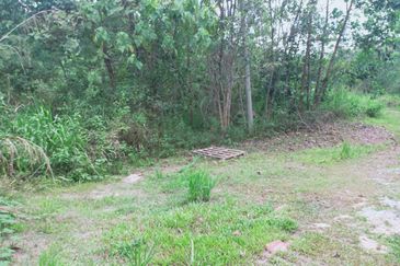 Mentakab Agricultural Land