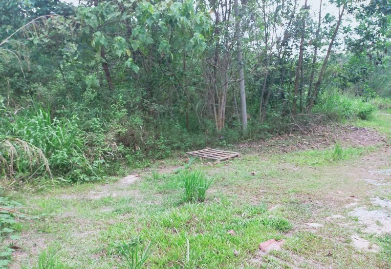 Mentakab Agricultural Land