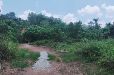 Mentakab Agricultural Land