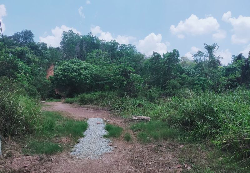 Mentakab Agricultural Land