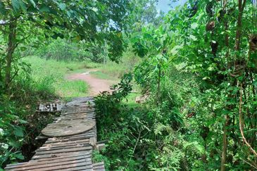 Mentakab Agricultural Land