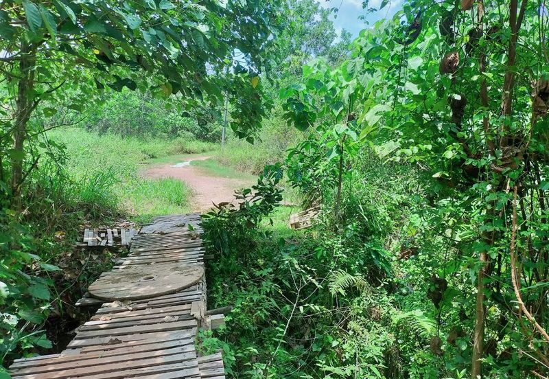 Mentakab Agricultural Land