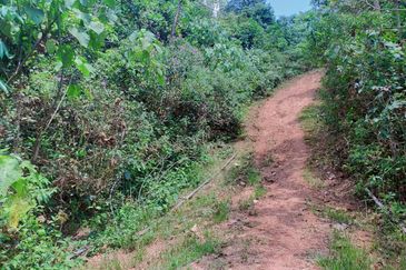 Mentakab Agricultural Land