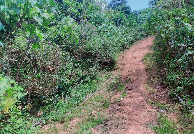 Mentakab Agricultural Land