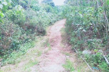 Mentakab Agricultural Land