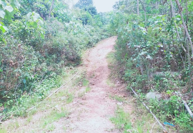 Mentakab Agricultural Land