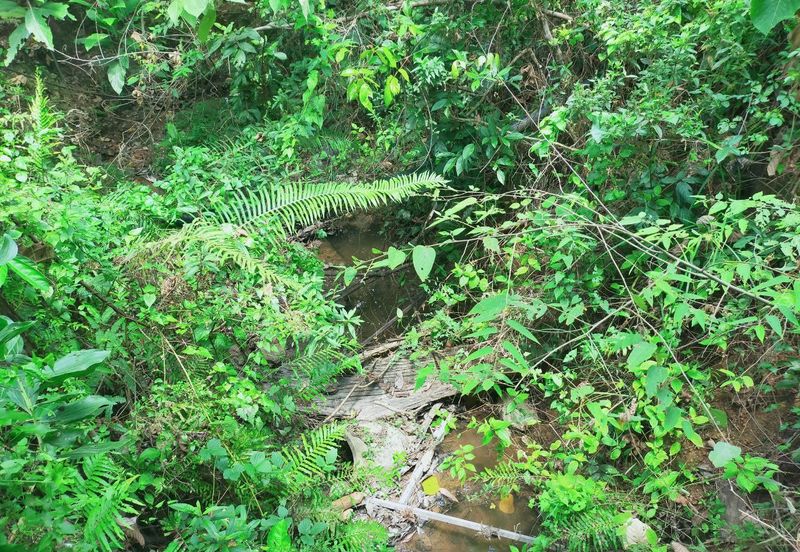 Mentakab Agricultural Land